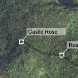 Castle Rose